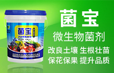 河南周口市中科化工有限公司