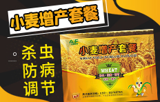 河南周口市中科化工有限公司