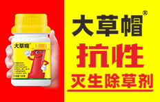 河南周口市中科化工有限公司