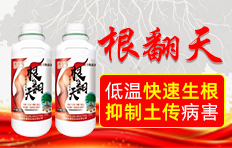 河南周口市中科化工有限公司