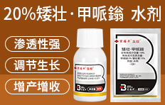 河南周口市中科化工有限公司