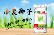河南周口市中科化工有限公司